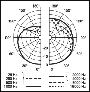C 3000 B polar pattern